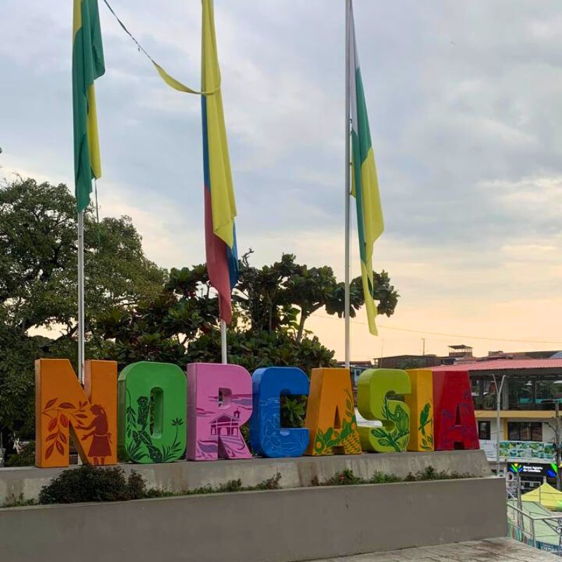 Como llegar a Norcasia desde Cali