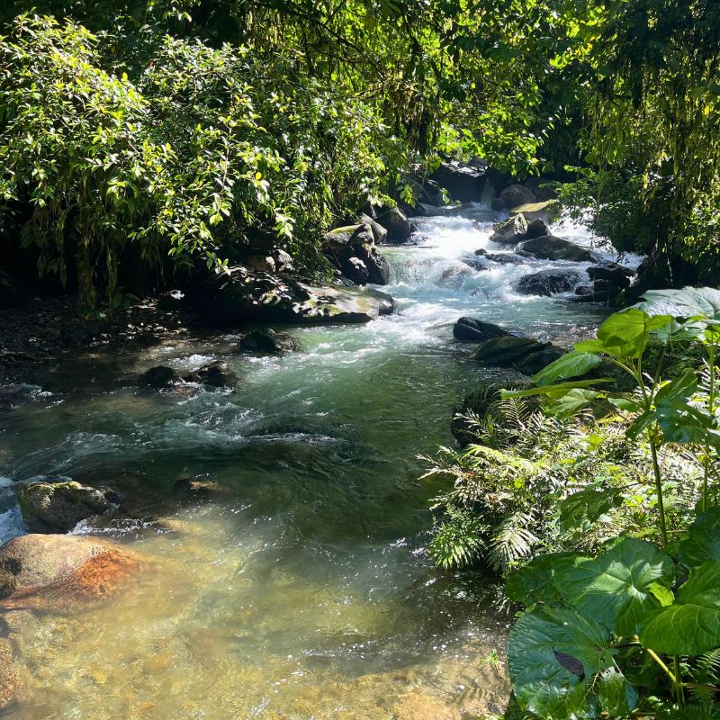 Como llegar al Danubio desde Cali