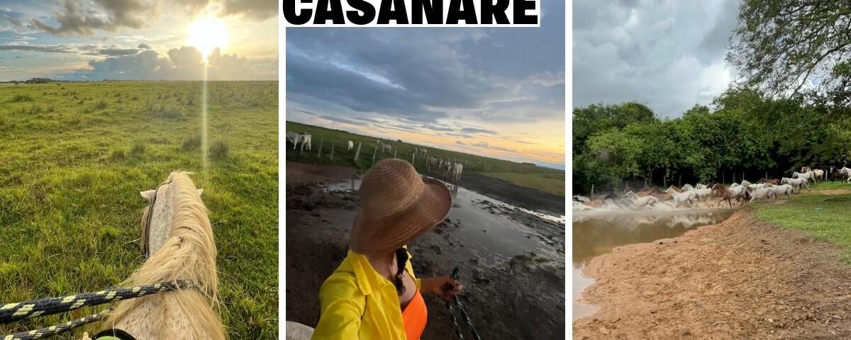 Safari en los Llanos Orientales