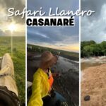 Safari en los Llanos Orientales