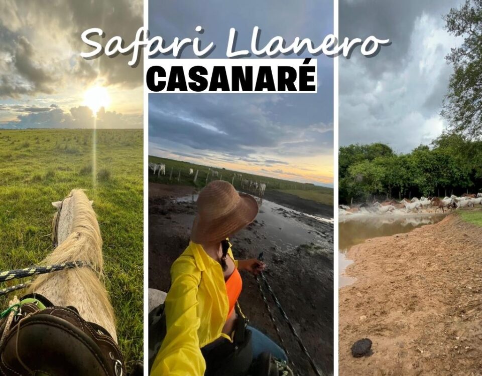 Safari en los Llanos Orientales