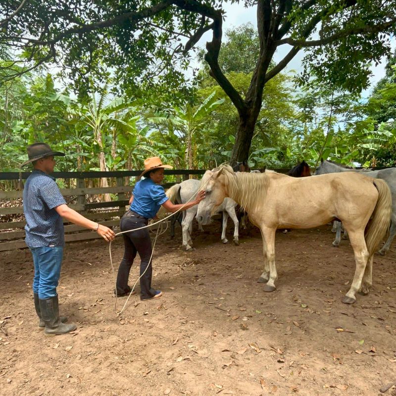 Safari en los Llanos Orientales