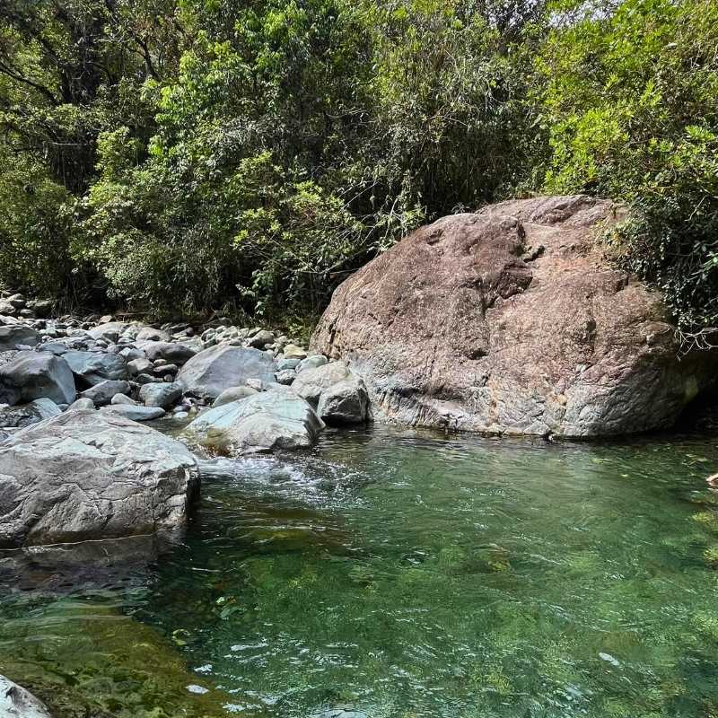 Naturaleza en Charco Burbujas, destino turístico de Cali