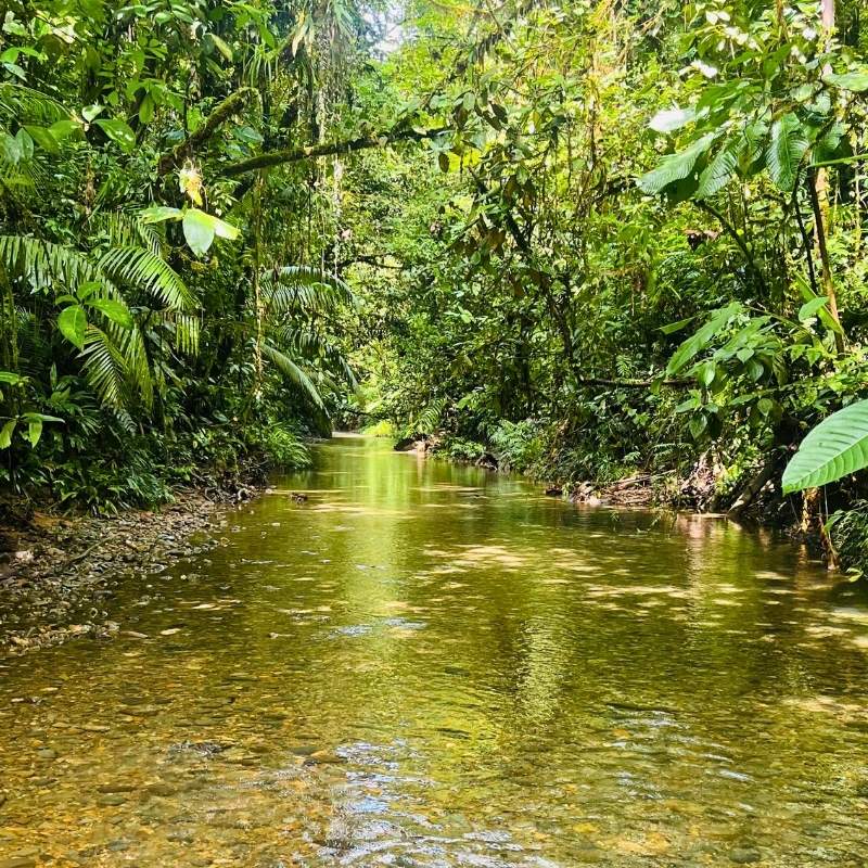 Río y montañas en el Cañón de la Angostura, Valle del Cauca