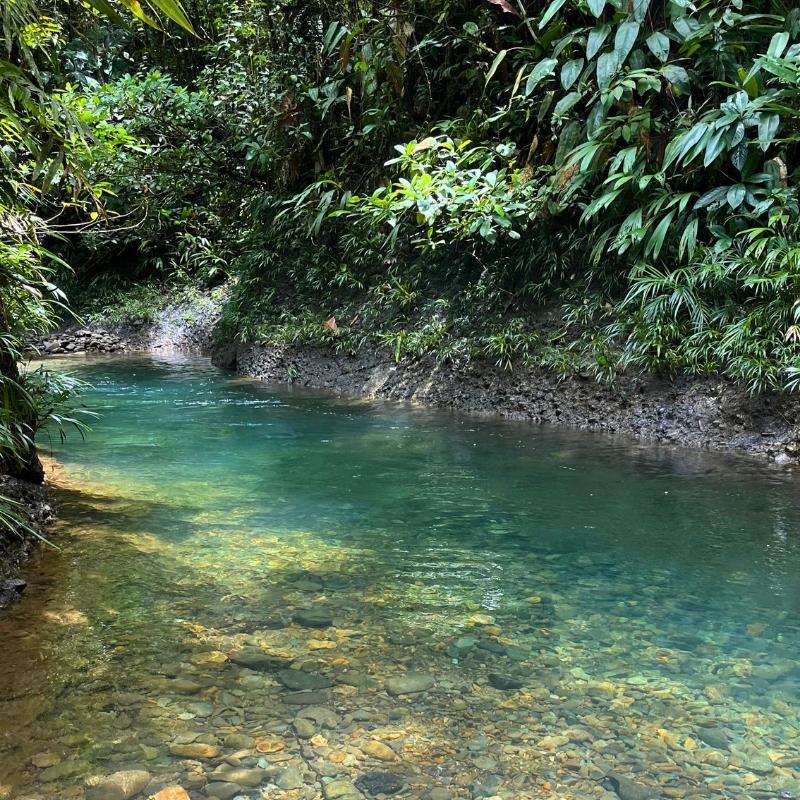 Naturaleza y aguas cristalinas en la Angostura, Colombia