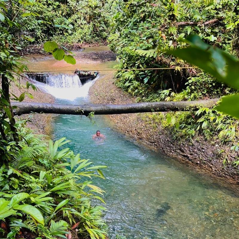 Naturaleza en Charco Mariposa, destino de Buenaventura