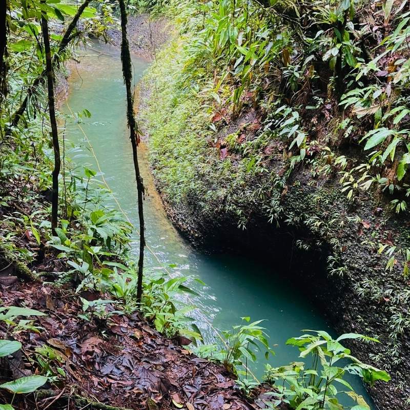 Aventura en el Cañón de la Angostura, Buenaventura Colombia
