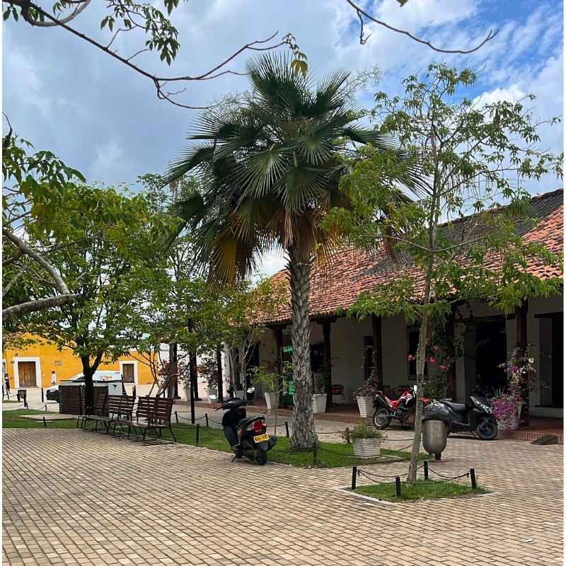 Como llegar a Mompox