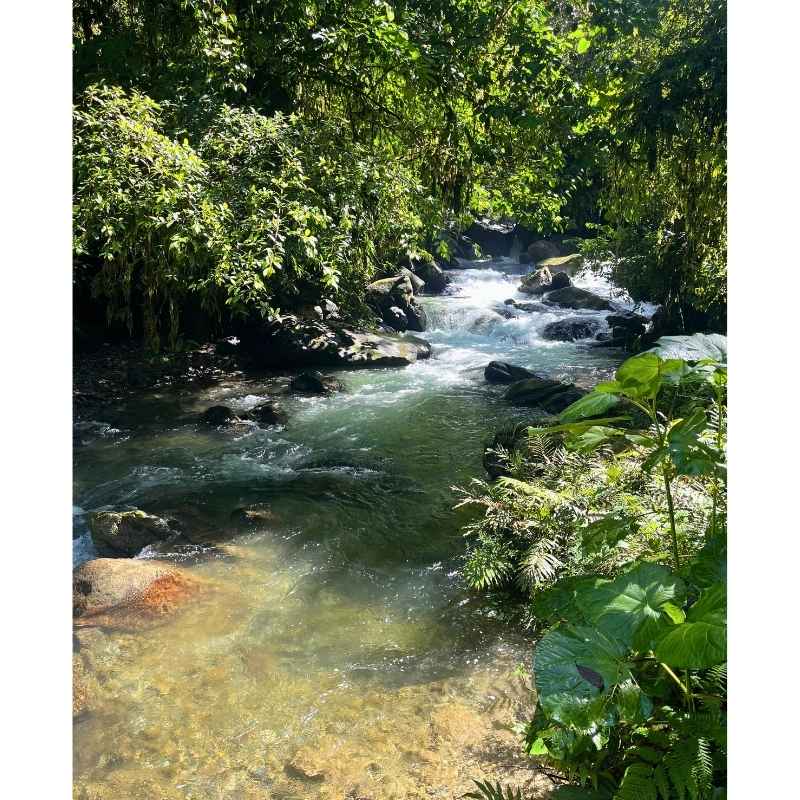 El Danubio, destino natural cerca de Cali